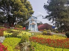 -铁山坪森林公园