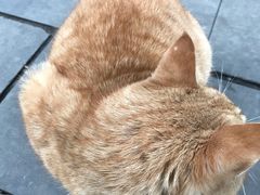 -小象猛犸(炫地购物中心店)