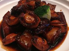 -张生记(丁香国际店)