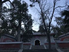 -香山公园