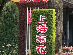 -上海共青森林公园