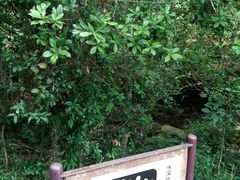 -狮子山郊野公园