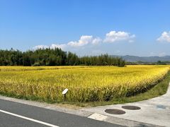 -良渚古城遗址公园