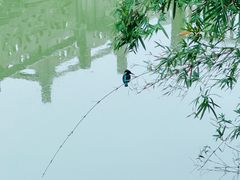 -张坝桂圆林公园