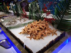 -红透天牛排海鲜自助(长和国际直营店)