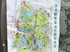 -东平国家森林公园