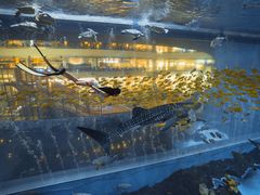 -成都浩海立方海洋公园