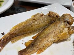 -长平肥姐白粥·海鲜打冷