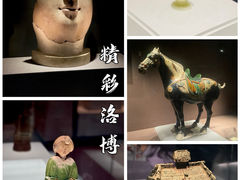 -洛阳博物馆