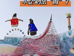 -大连圣亚海洋世界