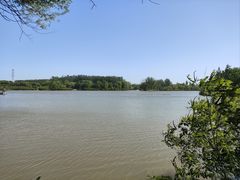 -翠湖国家城市湿地公园