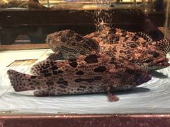 -阿伟海鲜楼·福建菜(延寿店)