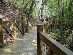 -广州市流溪河国家森林公园