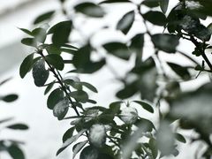-五进制 Coffee Shop
