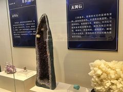 -安徽省地质博物馆