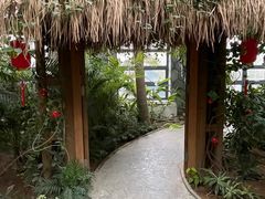 -南宫五洲植物乐园