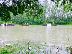 -溱湖国家湿地公园