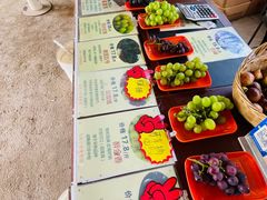 -马陆小张葡萄园农家乐