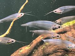 -太平洋海底世界