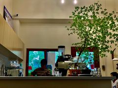 -SAFARI COFFEE