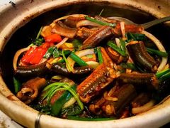 黄鳝啫啫煲-惠食佳(滨江大公馆店)