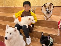 -和它·交个朋友·狗咖猫咖(爱琴海店)