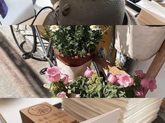 -茶是一枝花泡茶店
