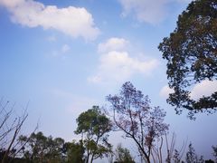 -昆山城市生态森林公园