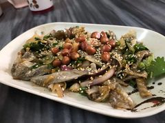 凉拌鱼皮-针姨
