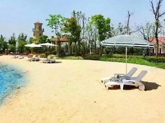 -上海东方佘山翰悦阁酒店·Vie全日制餐厅