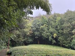 -敬亭山风景名胜区