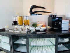 -虹桥机场国航贵宾室v8