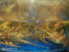 -海景壹号大酒店(滨湖店)