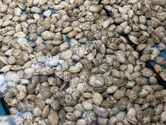 -陶然饺子城(奥体中路店)