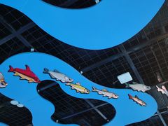 -海合安成都极地海洋公园