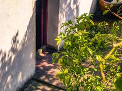 -宁波市保国寺古建筑博物馆