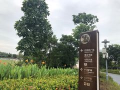 -宝安西湾红树林湿地公园