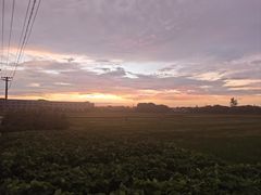 -辛香汇·现炒川菜(城北万象城店)