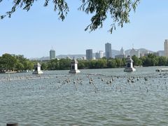 -济南大明湖景区
