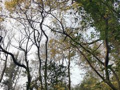 -岳麓山风景名胜区