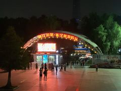 -武汉两江游览·夜游长江(汉口粤汉码头)