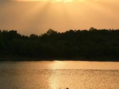 -四川大学(华西校区)