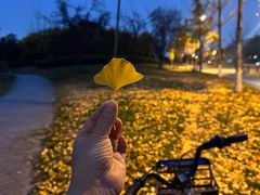 -两河城市森林公园