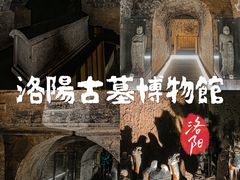 -洛阳古墓博物馆