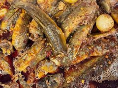 -正兴岷江春泥鳅