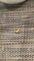 -皇家月府月子中心(沈阳店)