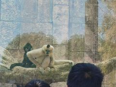 -南昌动物园