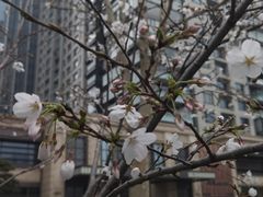 -西北湖绿化广场