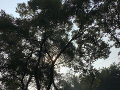 -四川大学(望江校区)