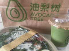 -油梨树AVOCADO TREE(嘉里中心店)